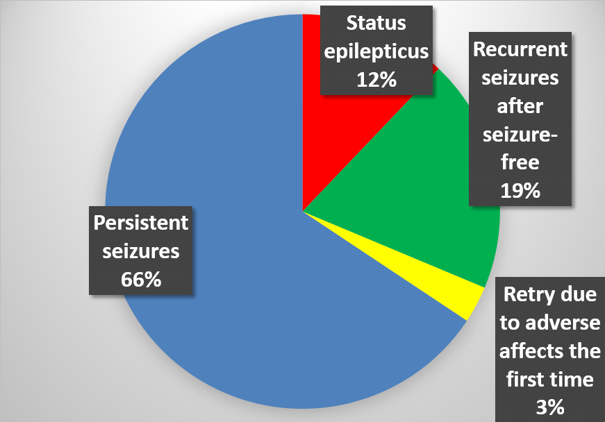 66% persistent seizures, 12% status epilepticus, 19% recurrent seizures, 3% retry due to adverse effects on first try