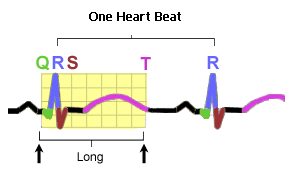 One heart beat